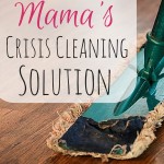 The Busy Mama’s Crisis Cleaning Solution