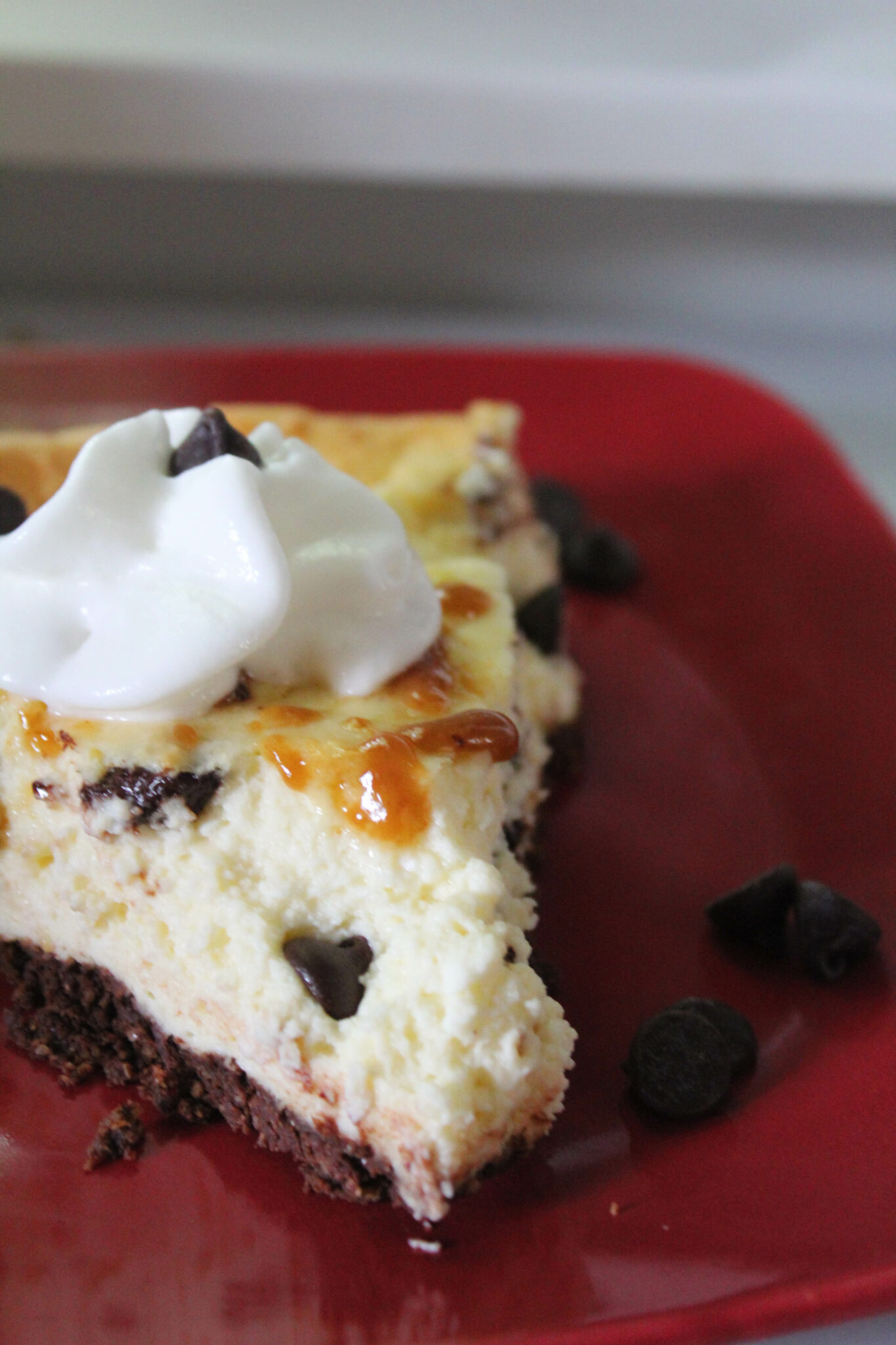 Chocolate Chip Cheesecake