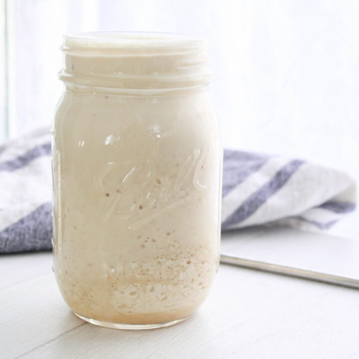 Homemade Frappuccino: Sugar-Free, Keto, Dairy-Free Options, THM: FP!