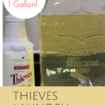 Thieves Laundry Soap Hack: 1 Bottle Turns Into 1 Gallon!